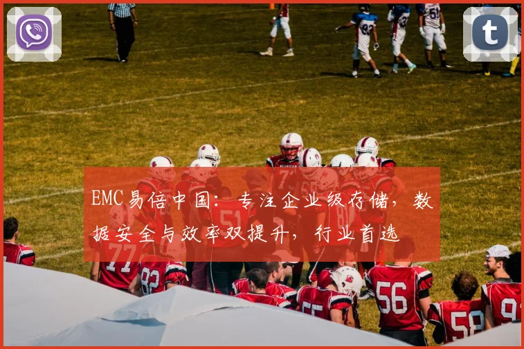 EMC易倍中国：专注企业级存储，数据安全与效率双提升，行业首选