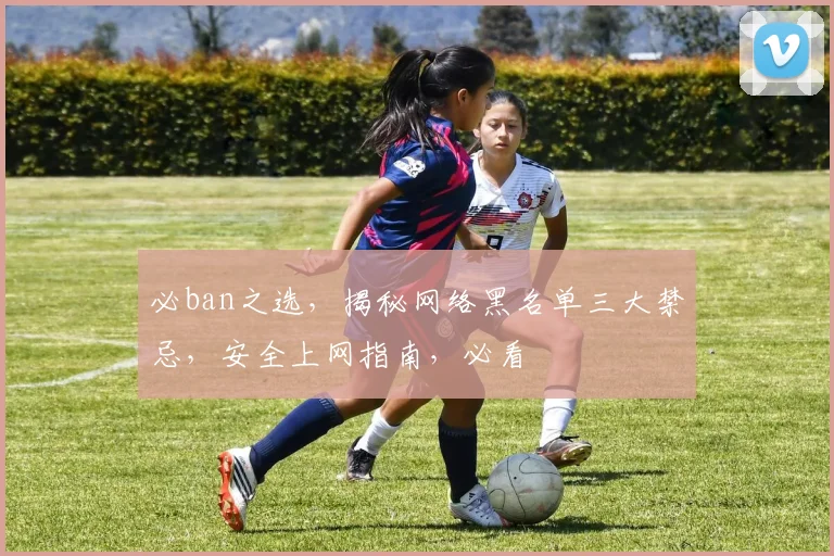 必ban之选，揭秘网络黑名单三大禁忌，安全上网指南，必看