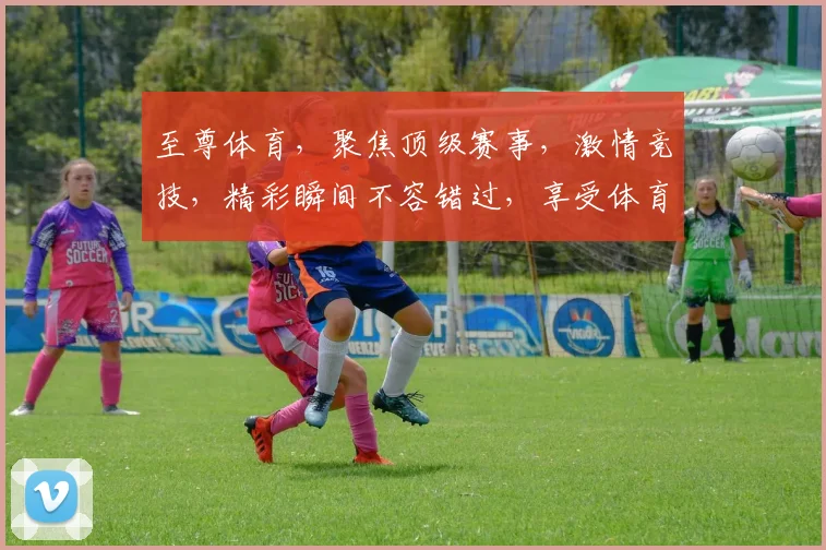 至尊体育，聚焦顶级赛事，激情竞技，精彩瞬间不容错过，享受体育盛宴