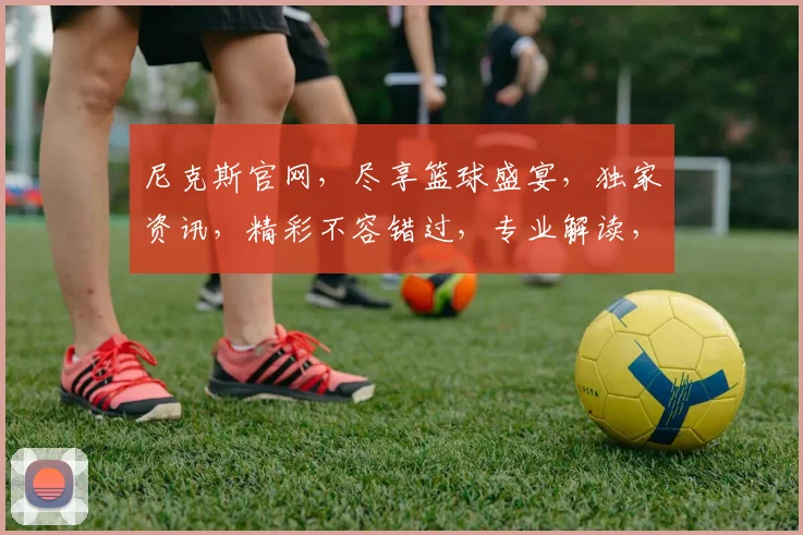 尼克斯官网，尽享篮球盛宴，独家资讯，精彩不容错过，专业解读，球迷必备